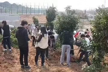 瑞聯節能植樹節植樹活動